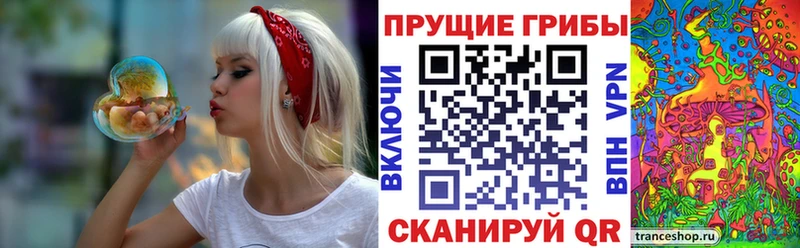 kraken ссылки  Советск  Галлюциногенные грибы мицелий 
